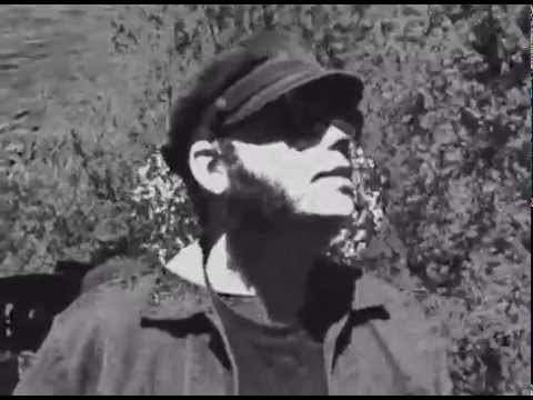 Hairy Flowers video