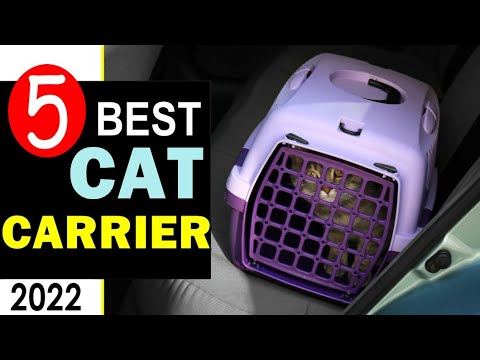 Best Cat Carrier for Car 2022 🏆 Top 5 Best Cat Carrier Reviews