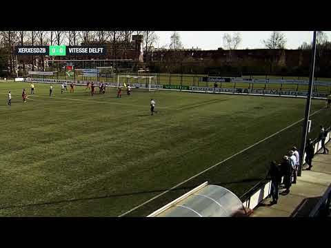 Samenvatting XerxesDZB - Vitesse Delft