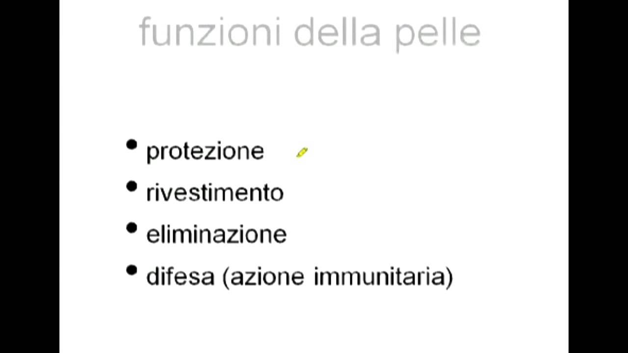 Watch Now webinar di anatomia organo pelle parte 1 webinar di anatomia organo pelle parte 1