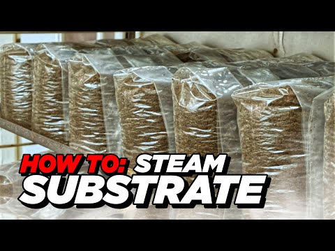 How to Sterilize Mushroom Substrate with Atmospheric Steam Sterilizer