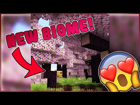 Minecraft 1.20 Update: Cherry Blossom Biome Revealed!