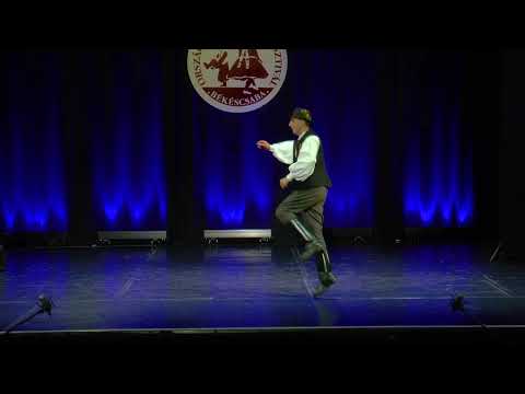 Balogh Károly: Ördöngősfüzesi ritka és sűrű fogásolás