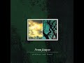 The Springs Of Hope | 1999 | Peter Ulrich | Pathways And Dawns | 2020 Infinite Fog Lp