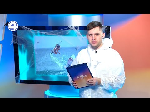 Верю - не верю