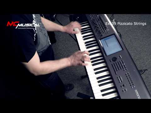 Korg EXs 19 KAPro demo - Dan Stesco Polymoog