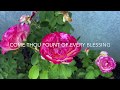 COME THOU FOUNT OF EVERY BLESSING~(Instrumental with Lyrics) #comethoufountofeveryblessing