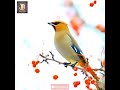 En Nesaiya En Nesar Yesaiya Whatsapp Status Song Aruthalinpadal