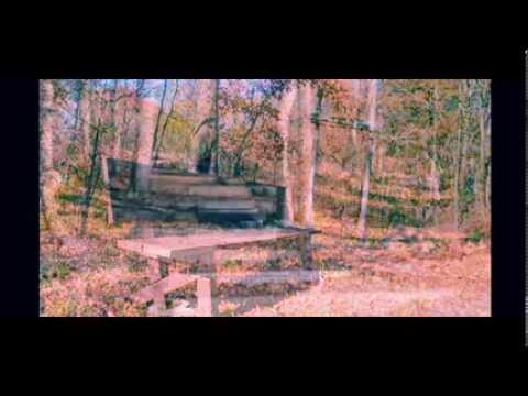 Turkey Creek Nature Preserve - Haitham Tawfik