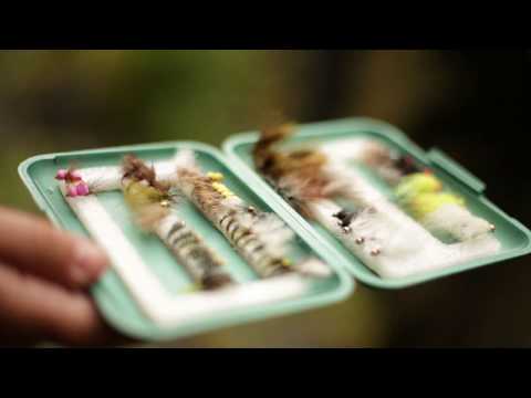 Merikarvianjoki: Kalastus ja opaspalvelut joella