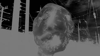 Ant head