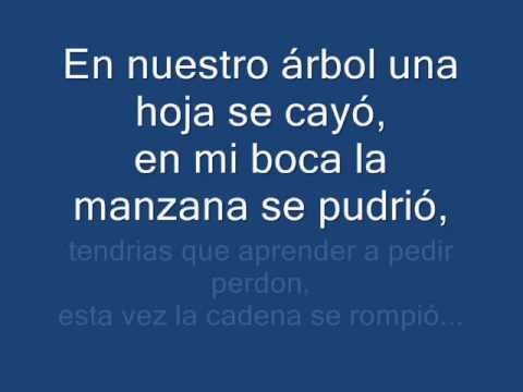 Andres Calamaro - Mi Enfermedad (Letra)