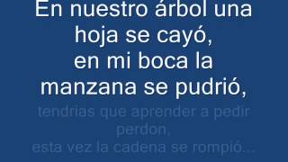 Andres Calamaro - Mi Enfermedad (Letra)