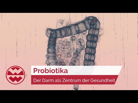 Probiotika: Der Darm als Zentrum der Gesundheit - Life Goes On | Welt der Wunder