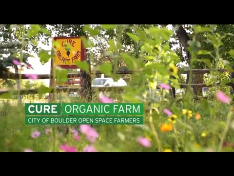 Cure Organic Farm - City of Boulder Open Space Farmers