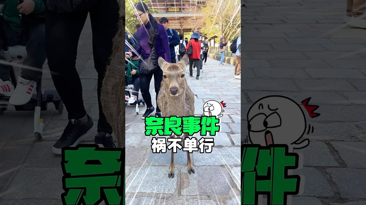 😭在奈良禍不單行，我太難了！#日本 #奈良