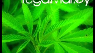 Tugalma - Fume Fume Et Fume.wmv