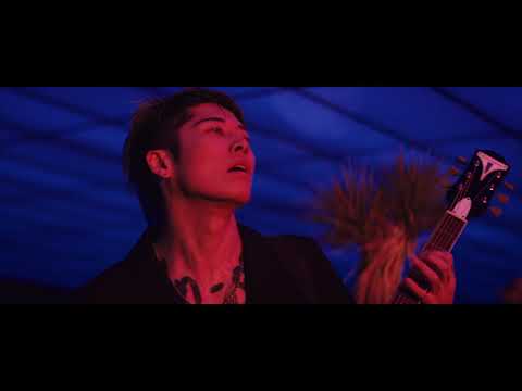 Camila Cabello - "Havana" MIYAVI Acoustic Cover