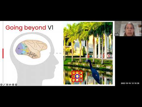WIMSA Conference 2022- Odelia Schwartz: How is Visual Information Processed in the Brain and AI?