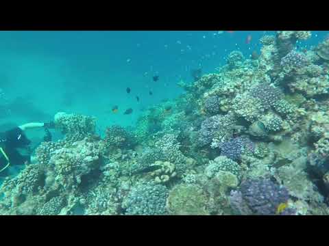 Diving at La Plage Resort