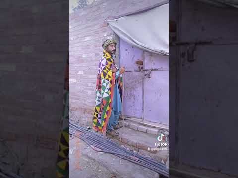 sindhi funny video