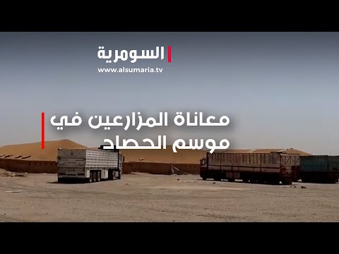 شاهد بالفيديو.. معاناة المزارعين بموسم الحصاد في صلاح الدين