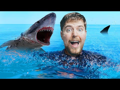 20 Things You Didn't Know About Mr Beast