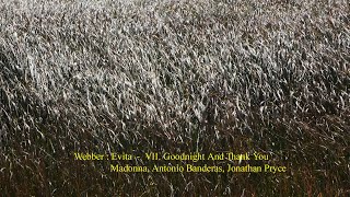 Webber : Evita  -  VII. Goodnight And Thank You
