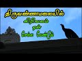 Thiruvannamalai temple | Girivalam | திருவண்ணாமலை | பௌர்ணமி கிரிவலம