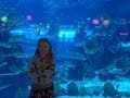 VLOG: Аквариум в Dubai Mall - самый большой аквариум в мире! 