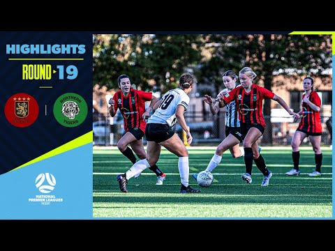 NPL NSW Women's Round 19 - Bankstown City v Northern Tigers