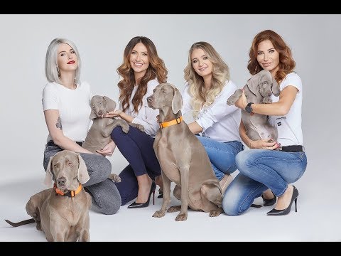 KALENDARZ Angeliki Wątor dla #karmimypsiaki