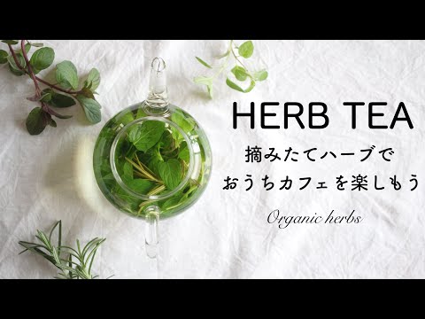 ペパーミントティーの作り方、使い方、効果 植物
