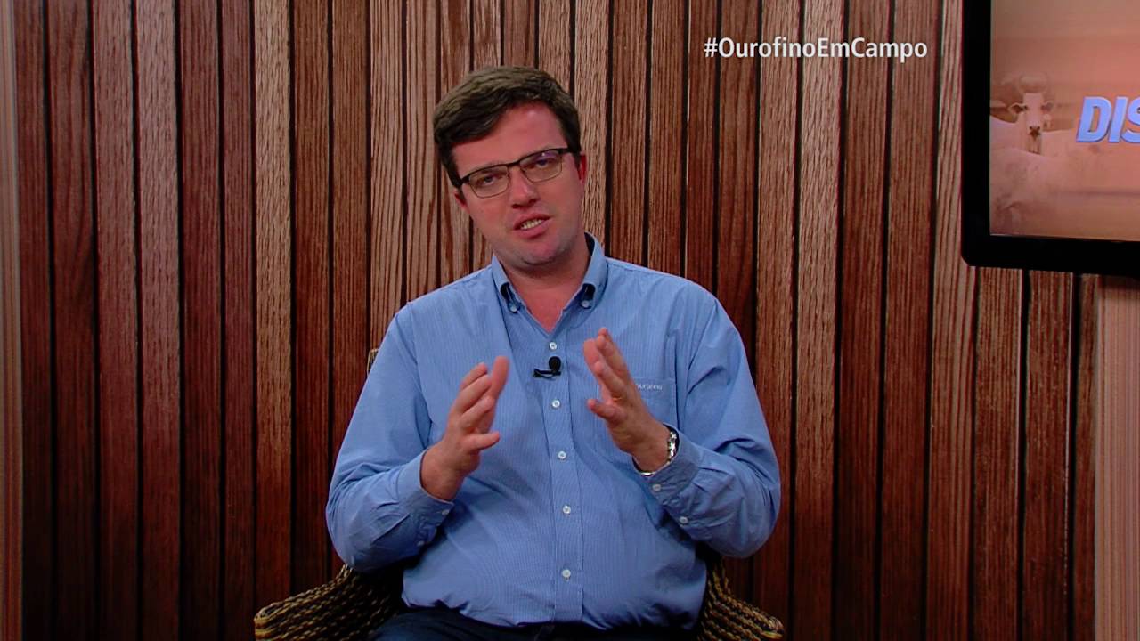 Síndrome da Vaca caída. Entenda!