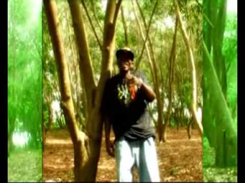 Une chanson pour toi