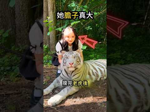 小貓態度的改變😲是來自心底的敬佩😳