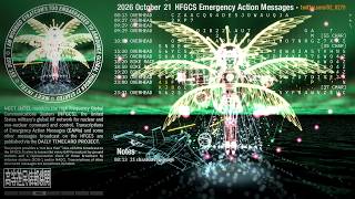 261021