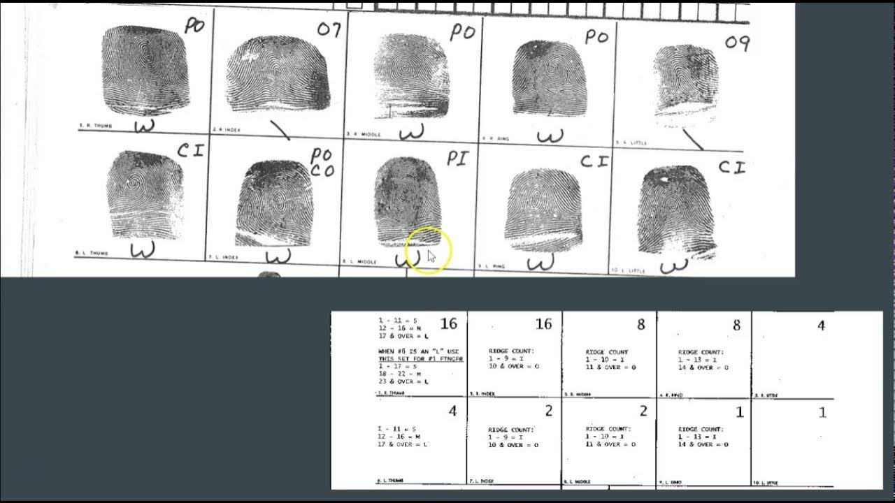 Henry’s Classification System of Fingerprints