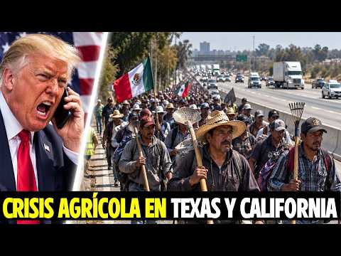 Pensaban Que Los Agricultores Mexicanos Nunca Abandonarían Texas y California...