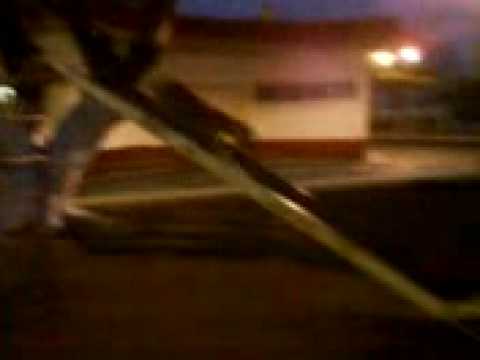 perro en resbaladilla