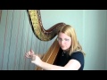 Heart-Shaped Box on Harp (Nirvana) 