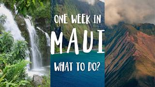 The BIG & LOCAL Maui Travel Guide 2026