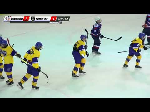 (Крылья советов) Soviet Wings – (Шведская сборная) Sweden SHD, WSI 05, April 2018, Minsk (Минск)
