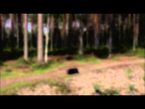 Harjoituskuvailut utrassa.