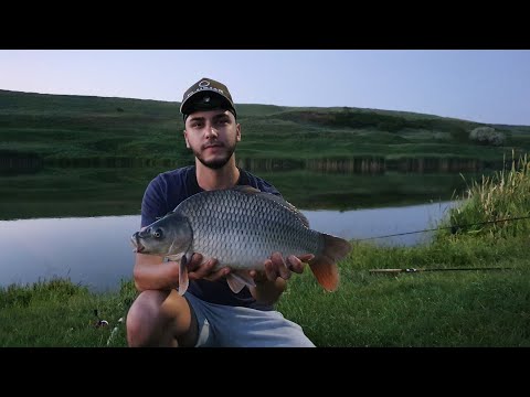 Pescuit la method feeder pe Balta Dobresti (regulament in descriere)