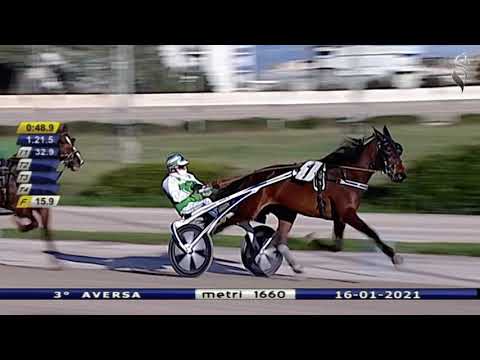 Aversa trotto 16 Gennaio 2021 - 3° Corsa