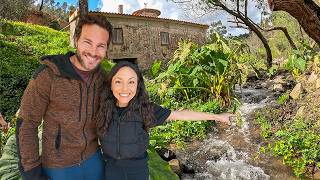 Discovering waterfalls, a hidden spring and more treasures on our homestead!