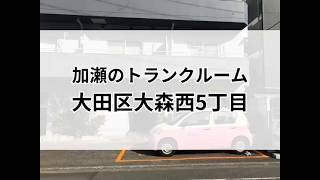 YouTube動画