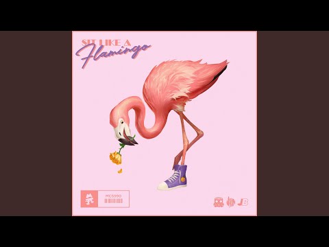 Sit like a Flamingo