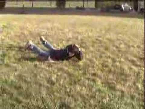 The Imagination of a 12-year-old